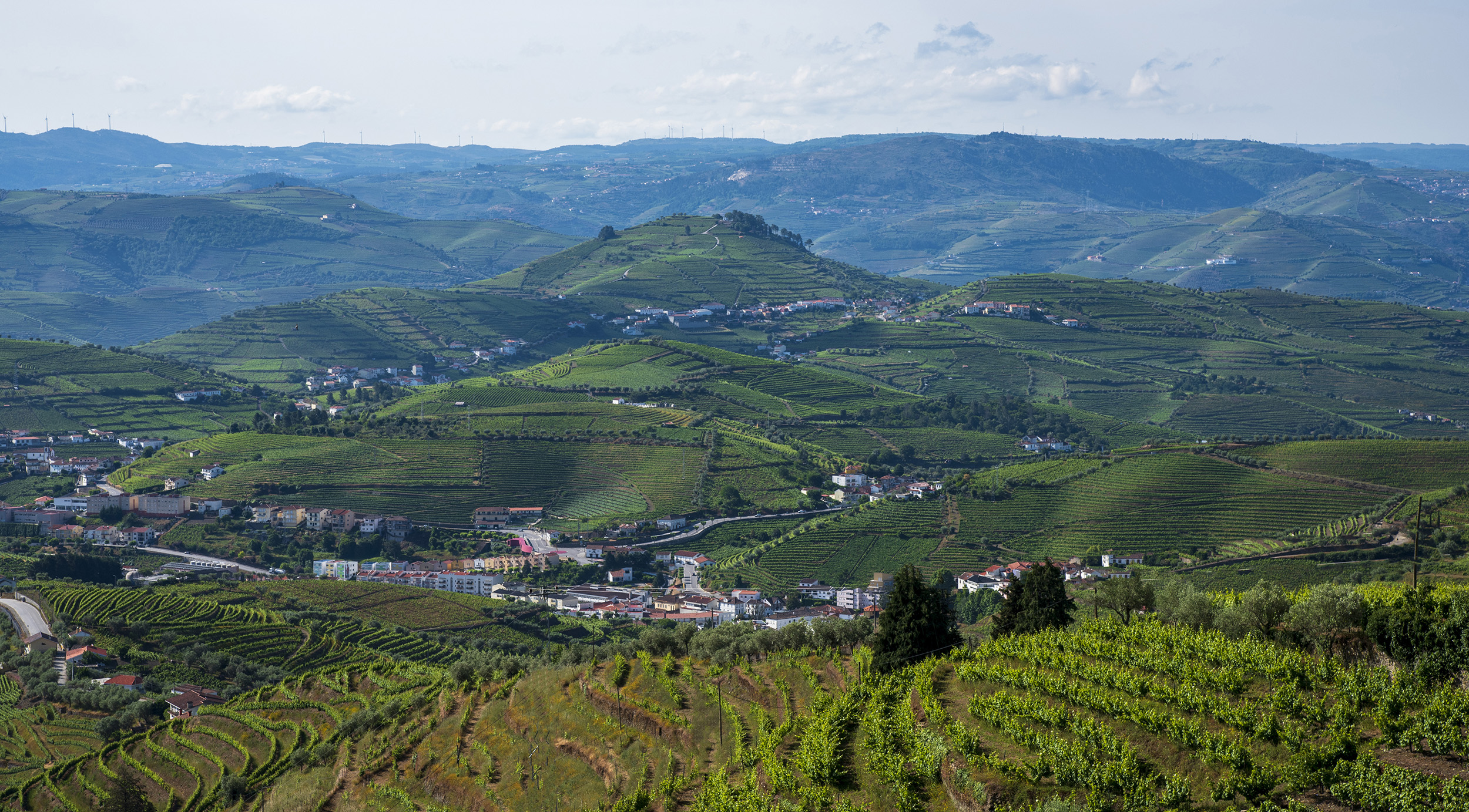 Alto Douro - Portugal