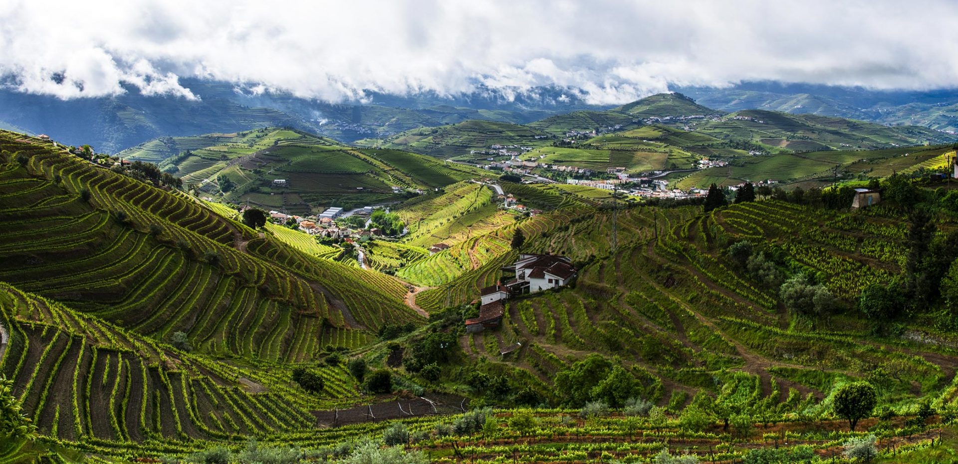 Alto Douro Portugal