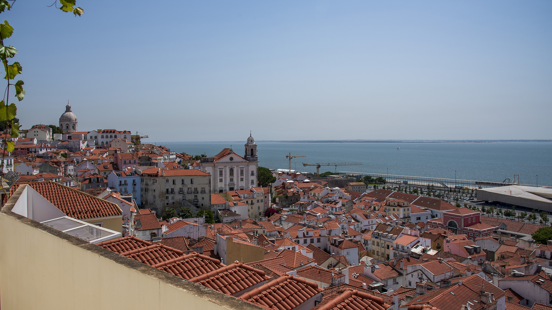 DSC_4155 copie